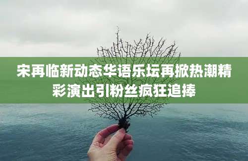 宋再临新动态华语乐坛再掀热潮精彩演出引粉丝疯狂追捧