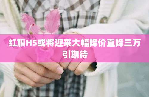 红旗H5或将迎来大幅降价直降三万引期待