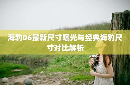 海豹06最新尺寸曝光与经典海豹尺寸对比解析