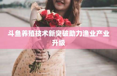 斗鱼养殖技术新突破助力渔业产业升级