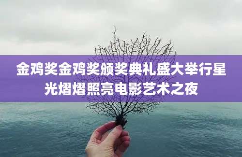 金鸡奖金鸡奖颁奖典礼盛大举行星光熠熠照亮电影艺术之夜