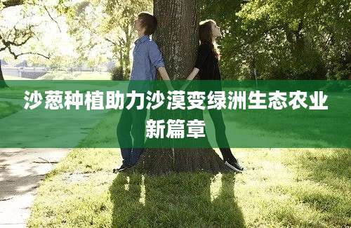 沙葱种植助力沙漠变绿洲生态农业新篇章