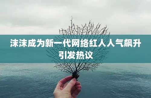 沫沫成为新一代网络红人人气飙升引发热议