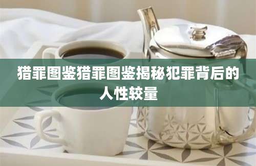 猎罪图鉴猎罪图鉴揭秘犯罪背后的人性较量