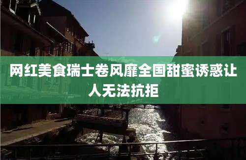 网红美食瑞士卷风靡全国甜蜜诱惑让人无法抗拒