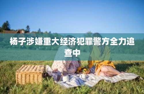 杨子涉嫌重大经济犯罪警方全力追查中