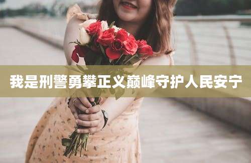 我是刑警勇攀正义巅峰守护人民安宁