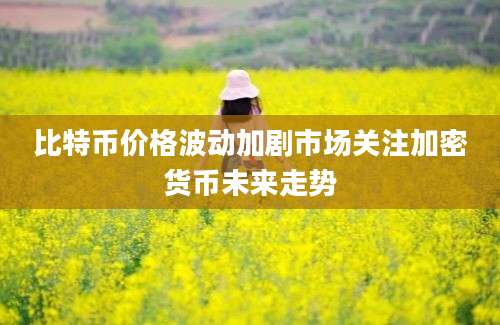 比特币价格波动加剧市场关注加密货币未来走势