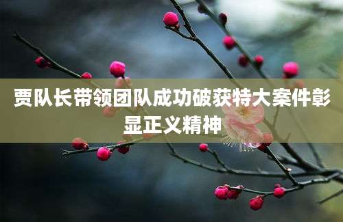贾队长带领团队成功破获特大案件彰显正义精神