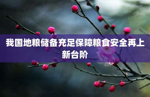 我国地粮储备充足保障粮食安全再上新台阶