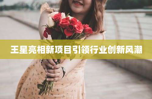 王星亮相新项目引领行业创新风潮