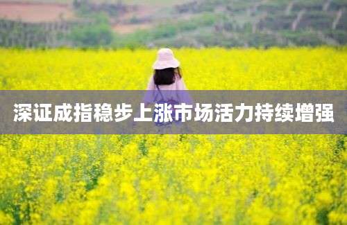 深证成指稳步上涨市场活力持续增强