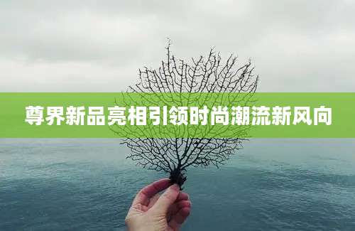 尊界新品亮相引领时尚潮流新风向
