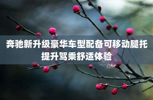奔驰新升级豪华车型配备可移动腿托提升驾乘舒适体验