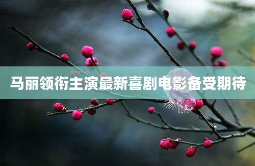 马丽领衔主演最新喜剧电影备受期待