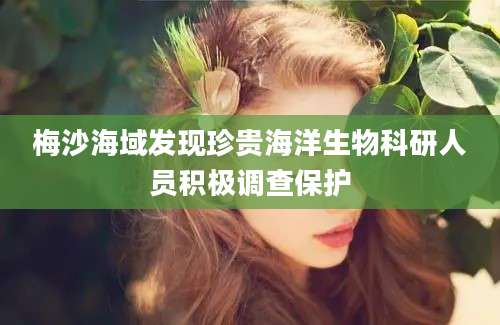 梅沙海域发现珍贵海洋生物科研人员积极调查保护