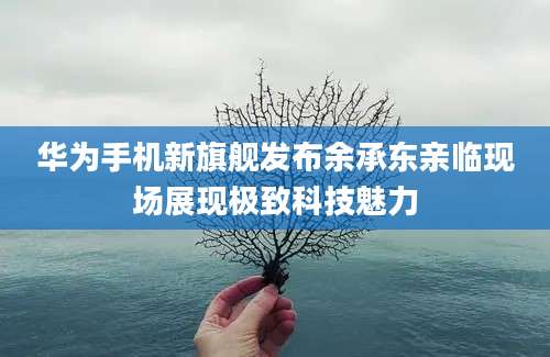 华为手机新旗舰发布余承东亲临现场展现极致科技魅力