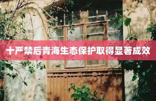十严禁后青海生态保护取得显著成效
