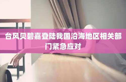 台风贝碧嘉登陆我国沿海地区相关部门紧急应对