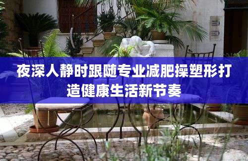 夜深人静时跟随专业减肥操塑形打造健康生活新节奏