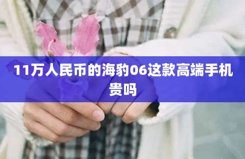 11万人民币的海豹06这款高端手机贵吗