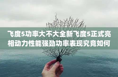 飞度5功率大不大全新飞度5正式亮相动力性能强劲功率表现究竟如何