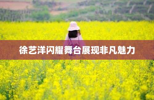 徐艺洋闪耀舞台展现非凡魅力