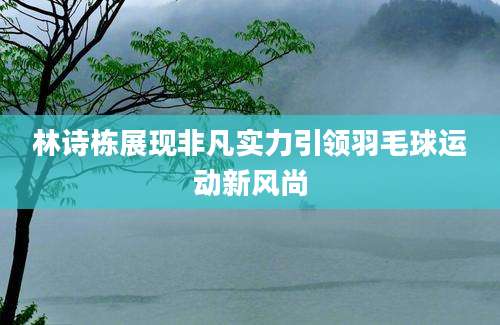 林诗栋展现非凡实力引领羽毛球运动新风尚
