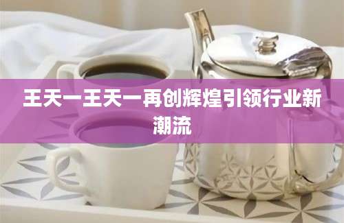 王天一王天一再创辉煌引领行业新潮流