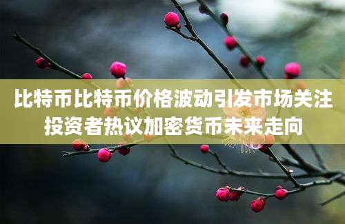 比特币比特币价格波动引发市场关注投资者热议加密货币未来走向