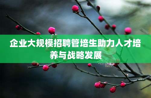 企业大规模招聘管培生助力人才培养与战略发展