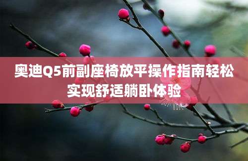 奥迪Q5前副座椅放平操作指南轻松实现舒适躺卧体验