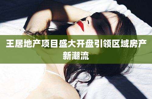 王居地产项目盛大开盘引领区域房产新潮流