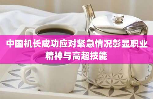中国机长成功应对紧急情况彰显职业精神与高超技能