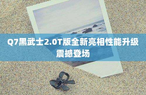 Q7黑武士2.0T版全新亮相性能升级震撼登场