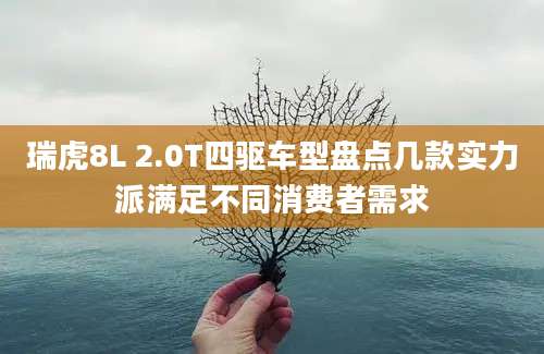 瑞虎8L 2.0T四驱车型盘点几款实力派满足不同消费者需求