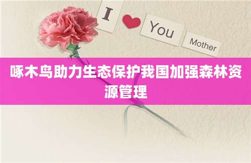 啄木鸟助力生态保护我国加强森林资源管理