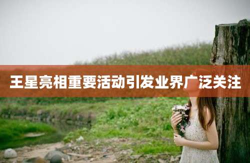 王星亮相重要活动引发业界广泛关注