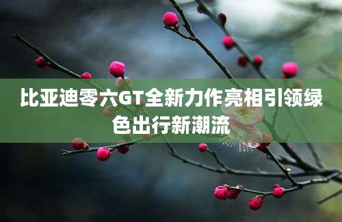比亚迪零六GT全新力作亮相引领绿色出行新潮流