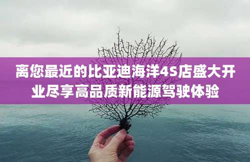 离您最近的比亚迪海洋4S店盛大开业尽享高品质新能源驾驶体验
