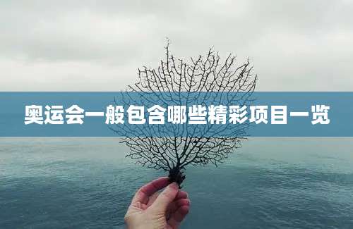 奥运会一般包含哪些精彩项目一览