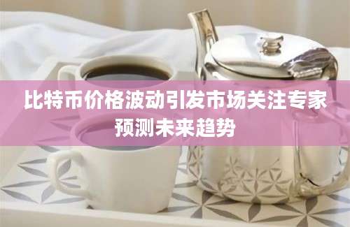 比特币价格波动引发市场关注专家预测未来趋势