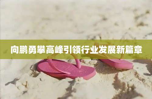 向鹏勇攀高峰引领行业发展新篇章