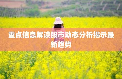 重点信息解读股市动态分析揭示最新趋势