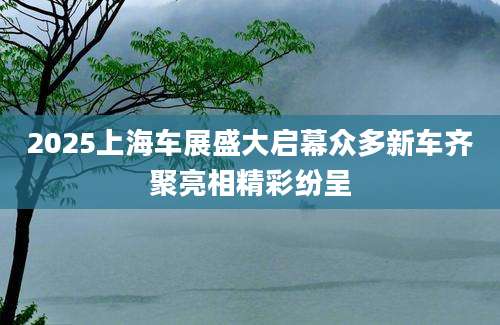 2025上海车展盛大启幕众多新车齐聚亮相精彩纷呈
