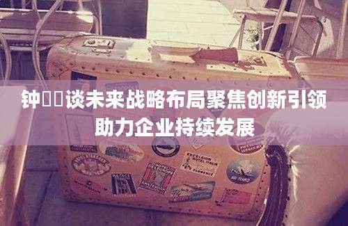 钟睒睒谈未来战略布局聚焦创新引领助力企业持续发展