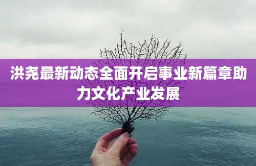 洪尧最新动态全面开启事业新篇章助力文化产业发展