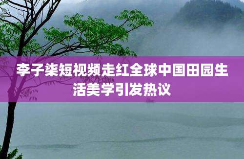 李子柒短视频走红全球中国田园生活美学引发热议