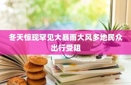 冬天惊现罕见大暴雨大风多地民众出行受阻