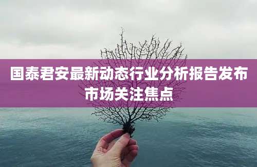 国泰君安最新动态行业分析报告发布市场关注焦点